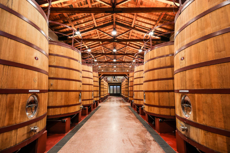 Winebanc Wine Fermentation Barrels